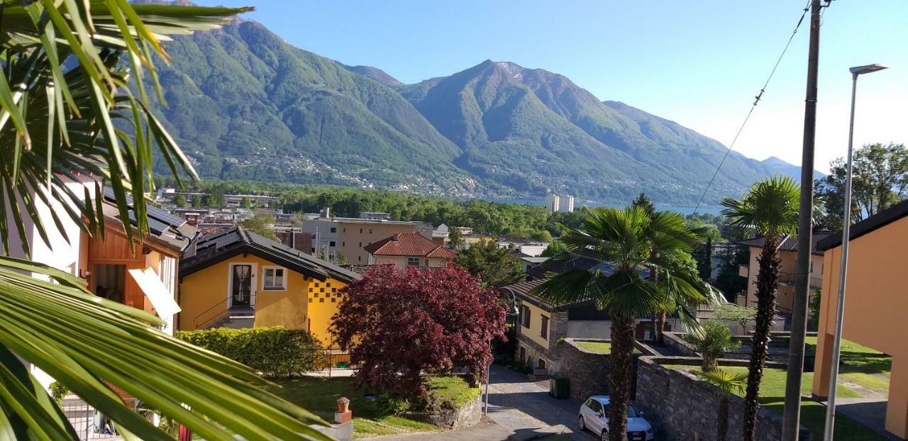 Casa Gialla Gordola Dış mekan fotoğraf